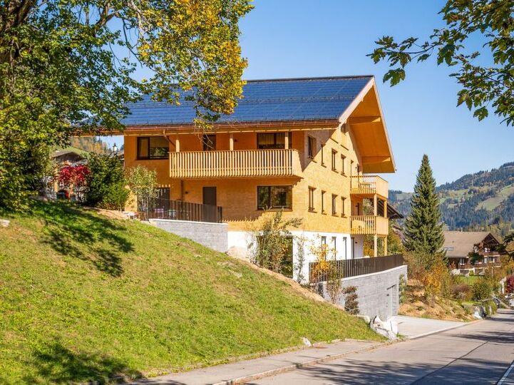 Cozy Haven in Zweisimmen City, 1194