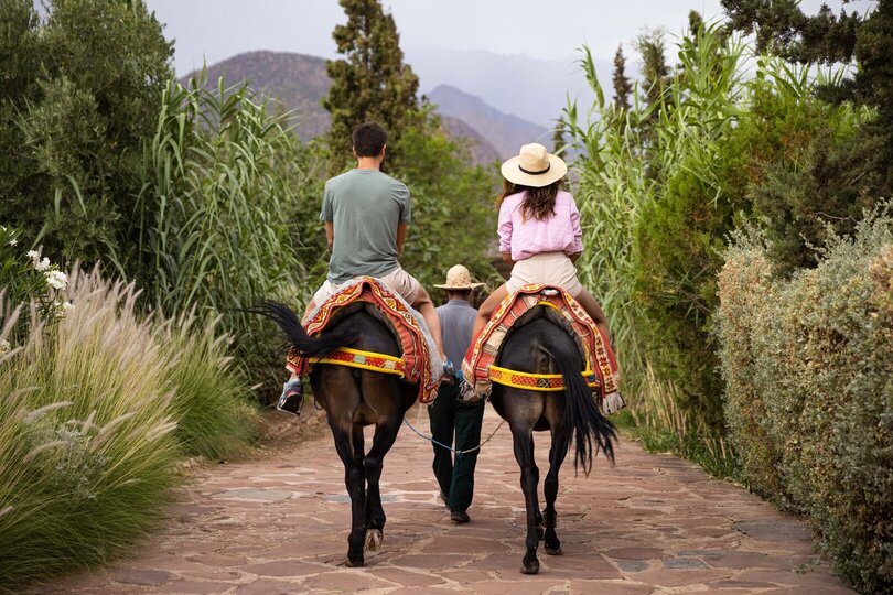 Whispers of the Atlas: A Hidden Retreat in Morocco 1026