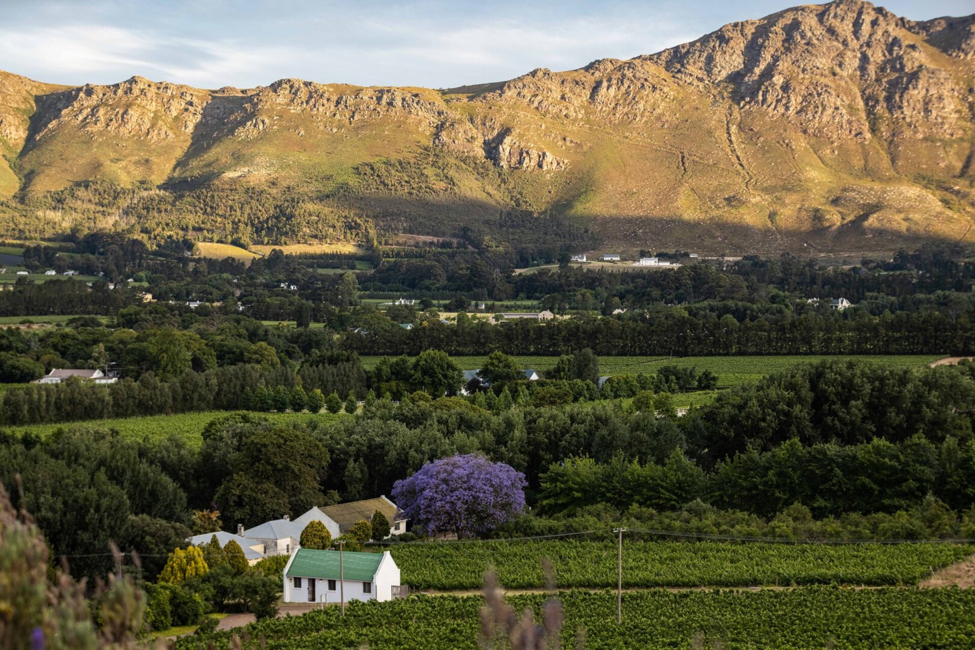Breathtaking Views & Tranquil Luxury at Mont Rochelle, 1027