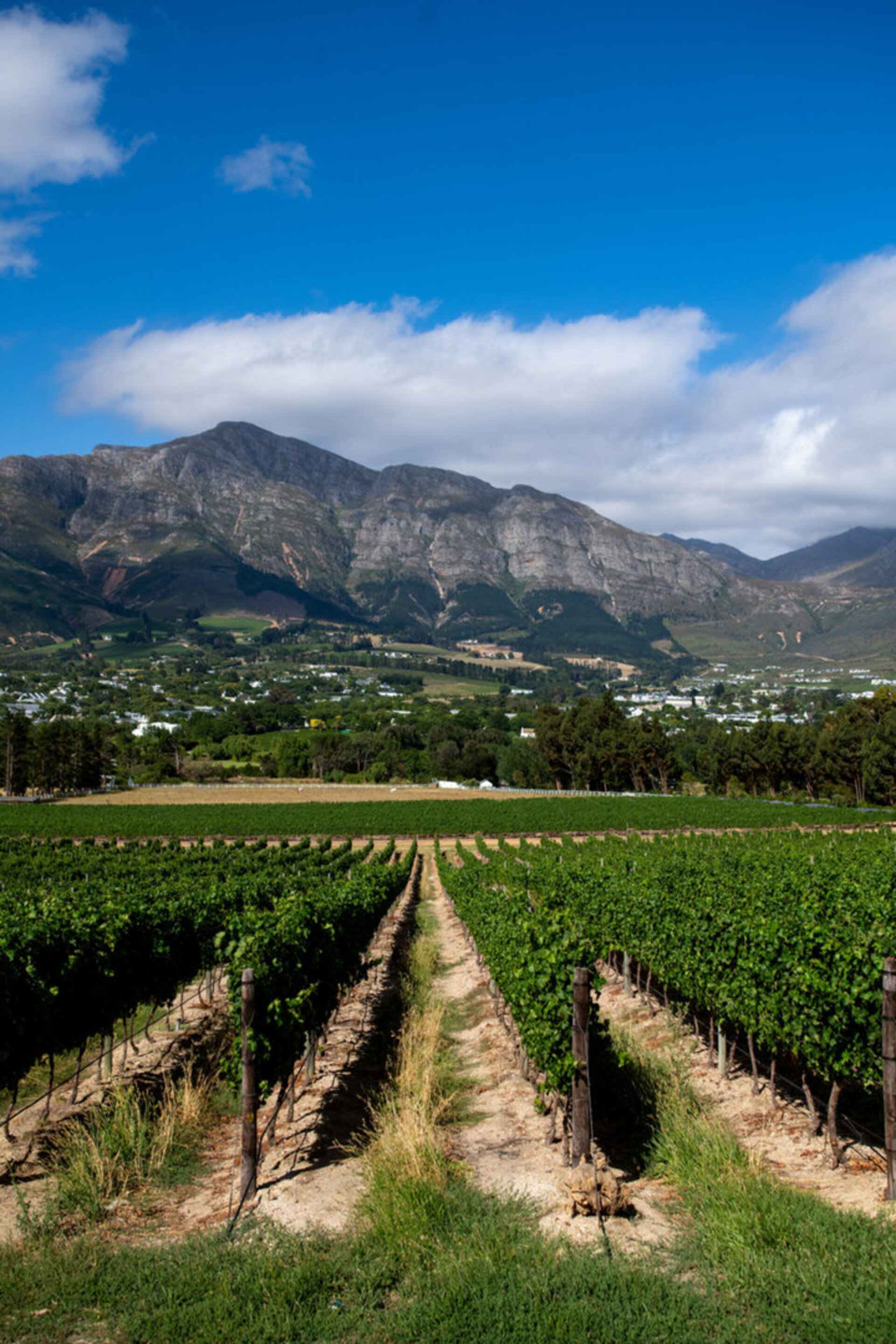 Breathtaking Views & Tranquil Luxury at Mont Rochelle, 1027