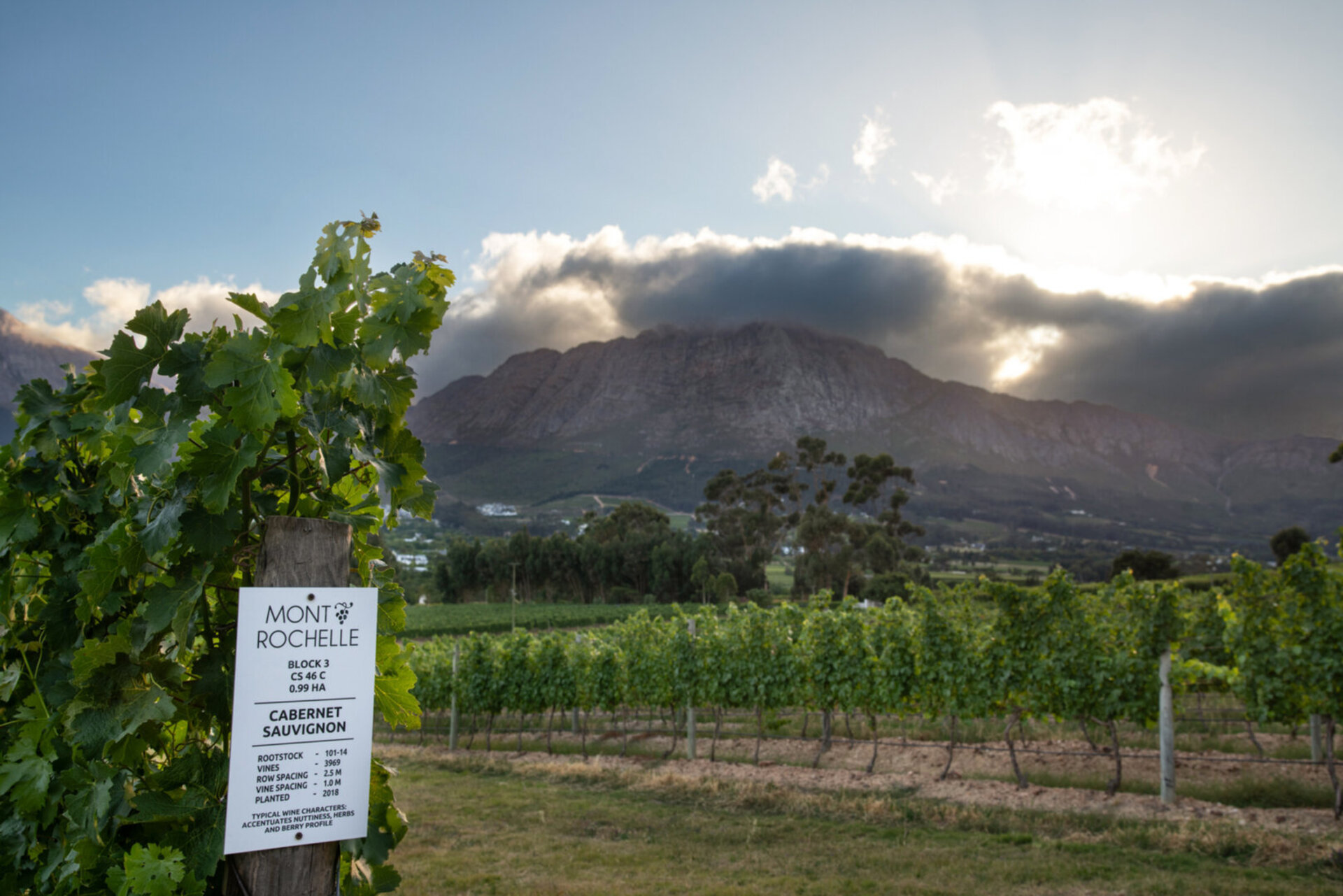 Mont Rochelle – A Luxurious Escape in Franschhoek, 1028