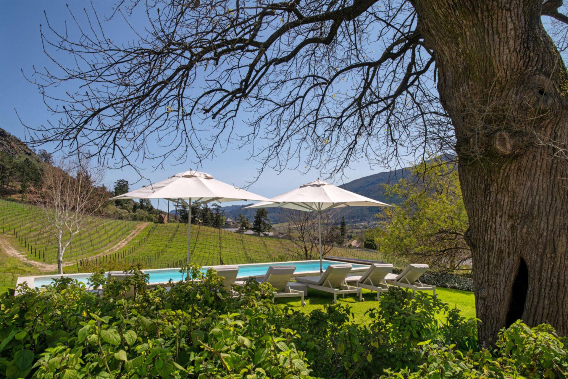 Mont Rochelle – A Luxurious Escape in Franschhoek, 1028