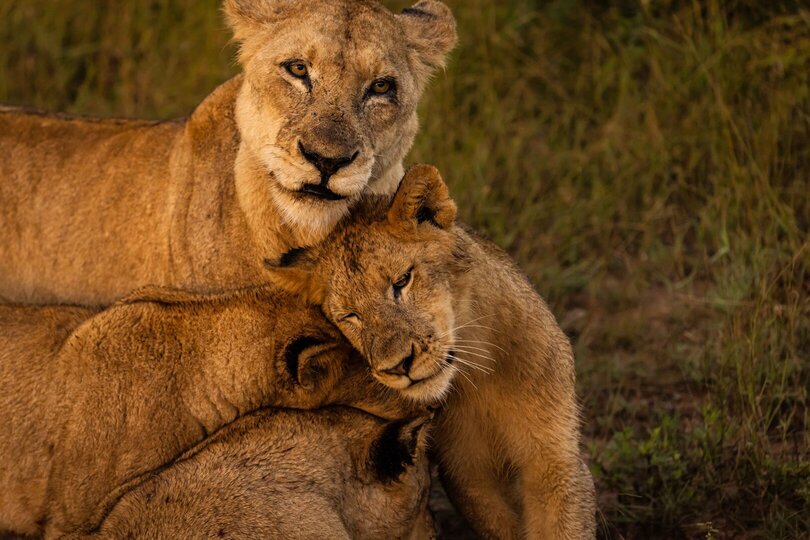 Ulusaba_Cliff 1030