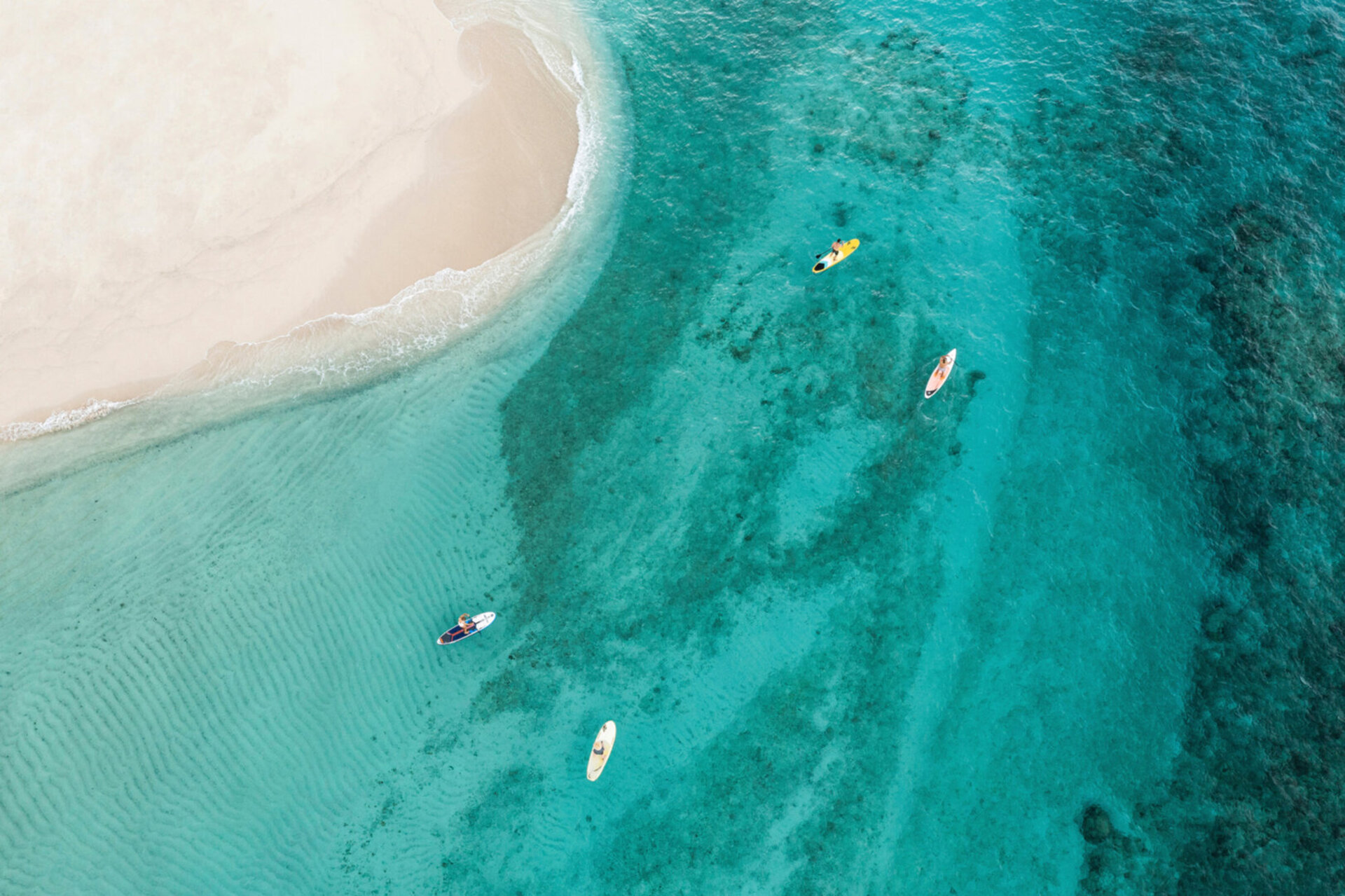 Oceanfront Bliss 1011