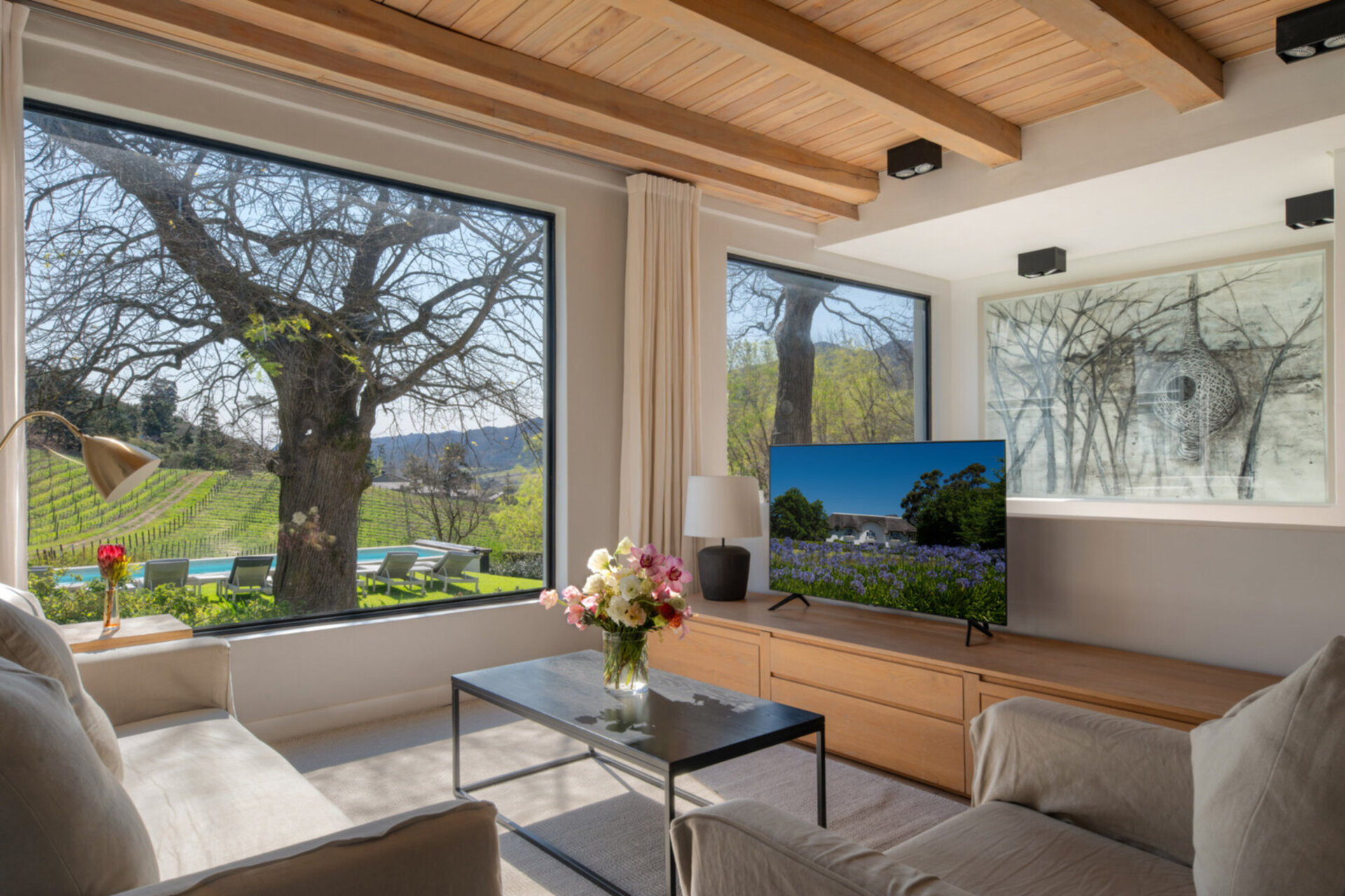 Cap Classique Vineyard Pool Suites with Private Pool 1043