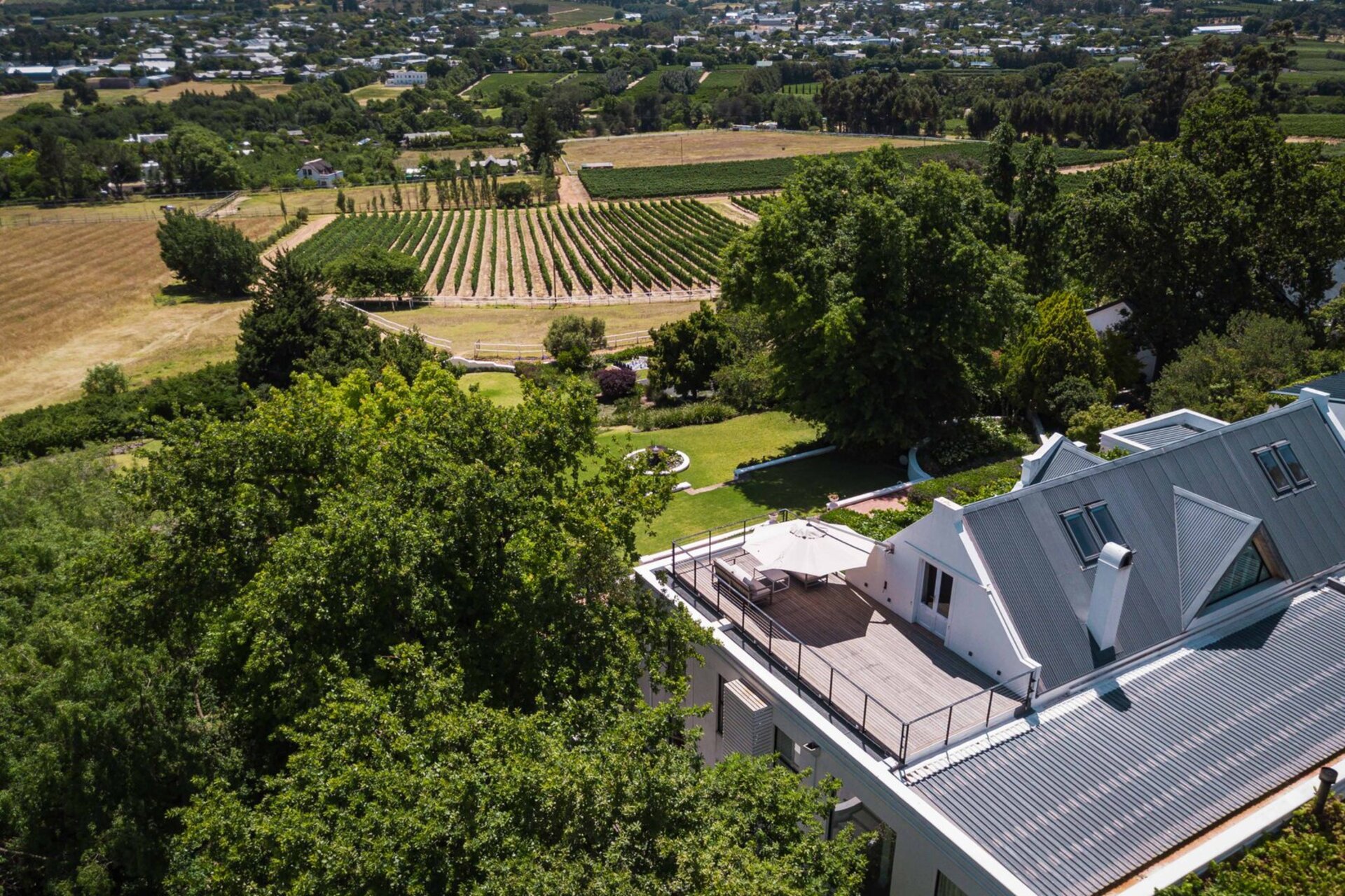 Viognier Room 1063
