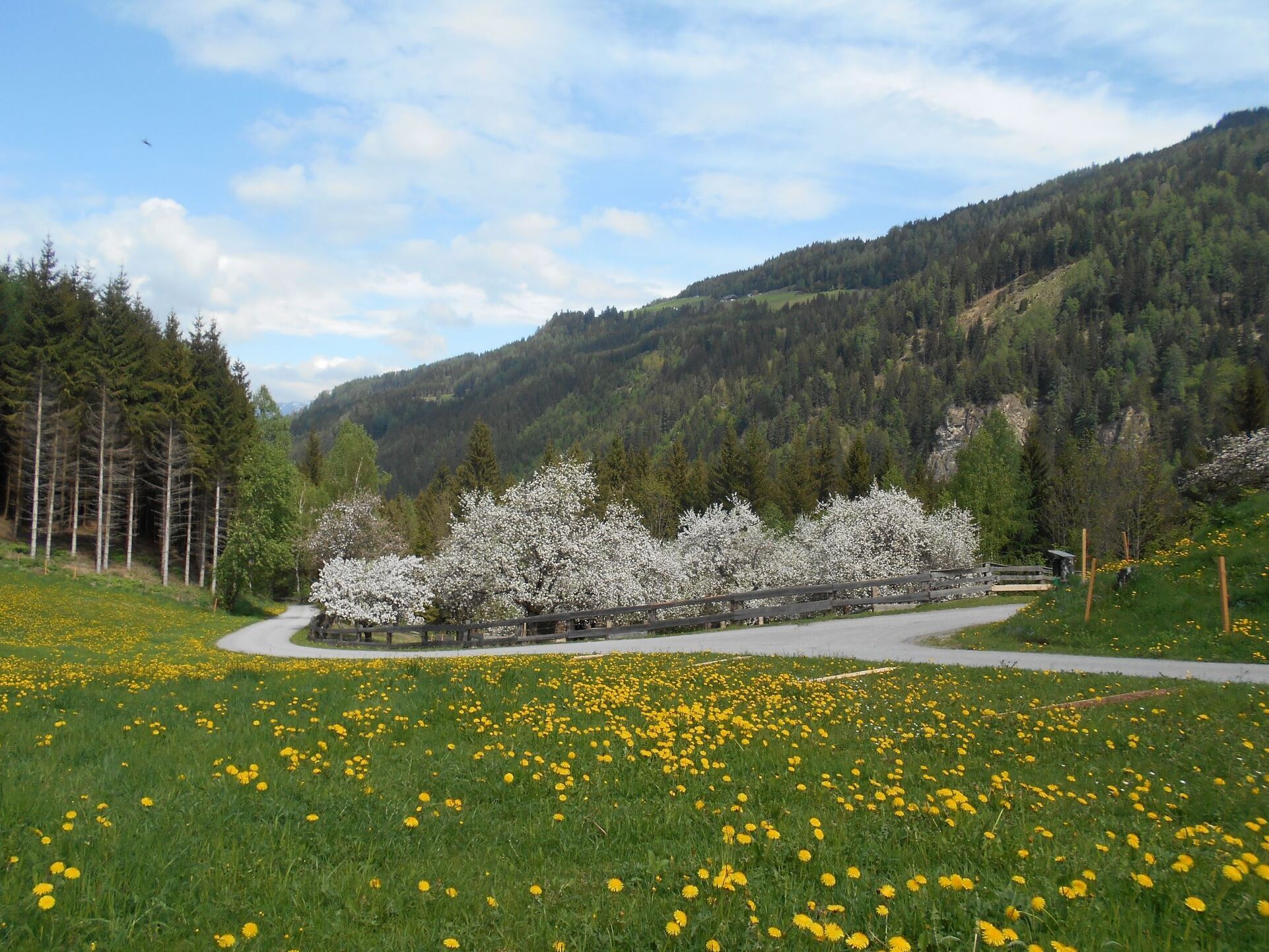 2-Bed House with Mountain View in Murau, Sleeps 4, 1110