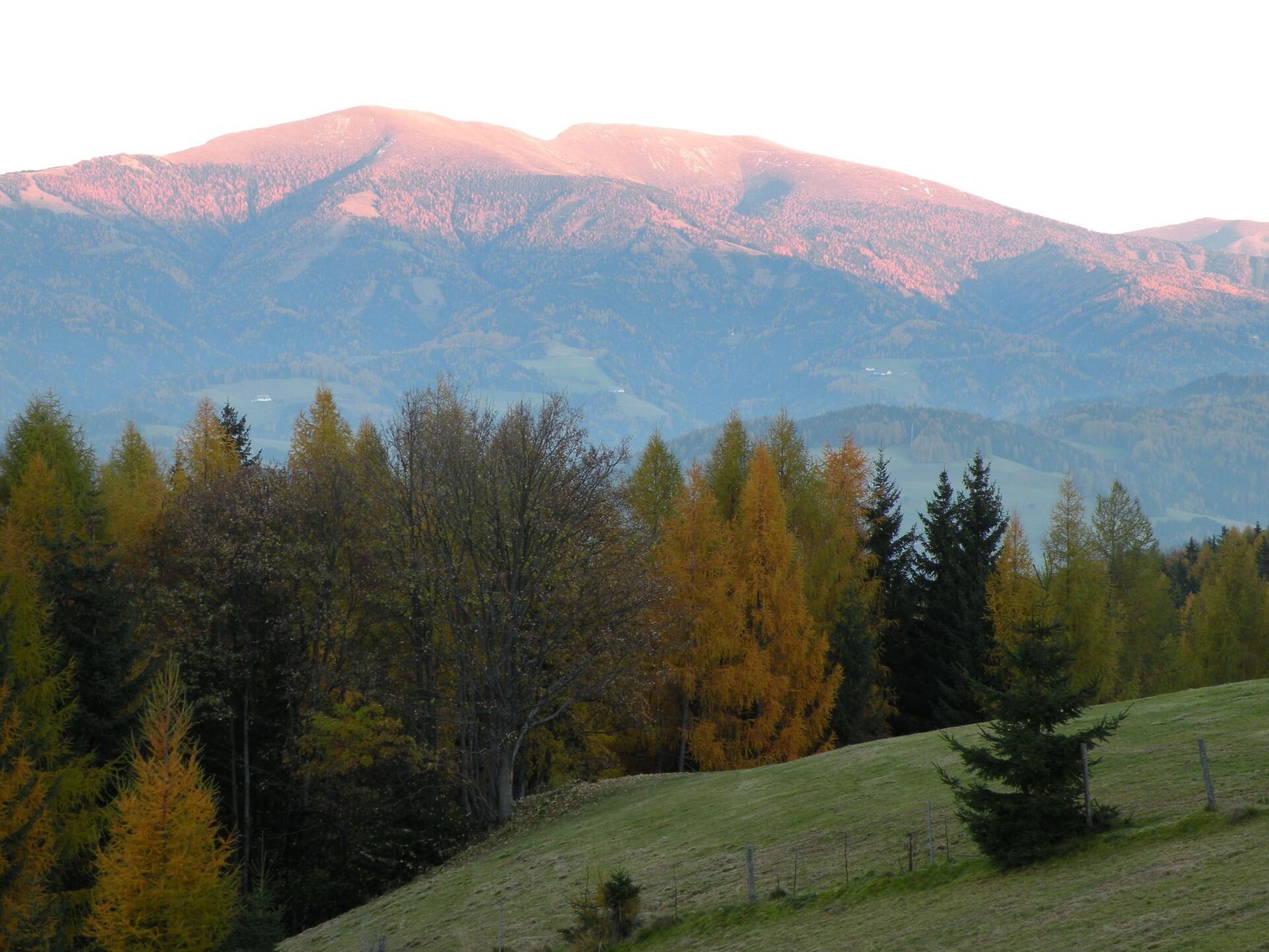 View