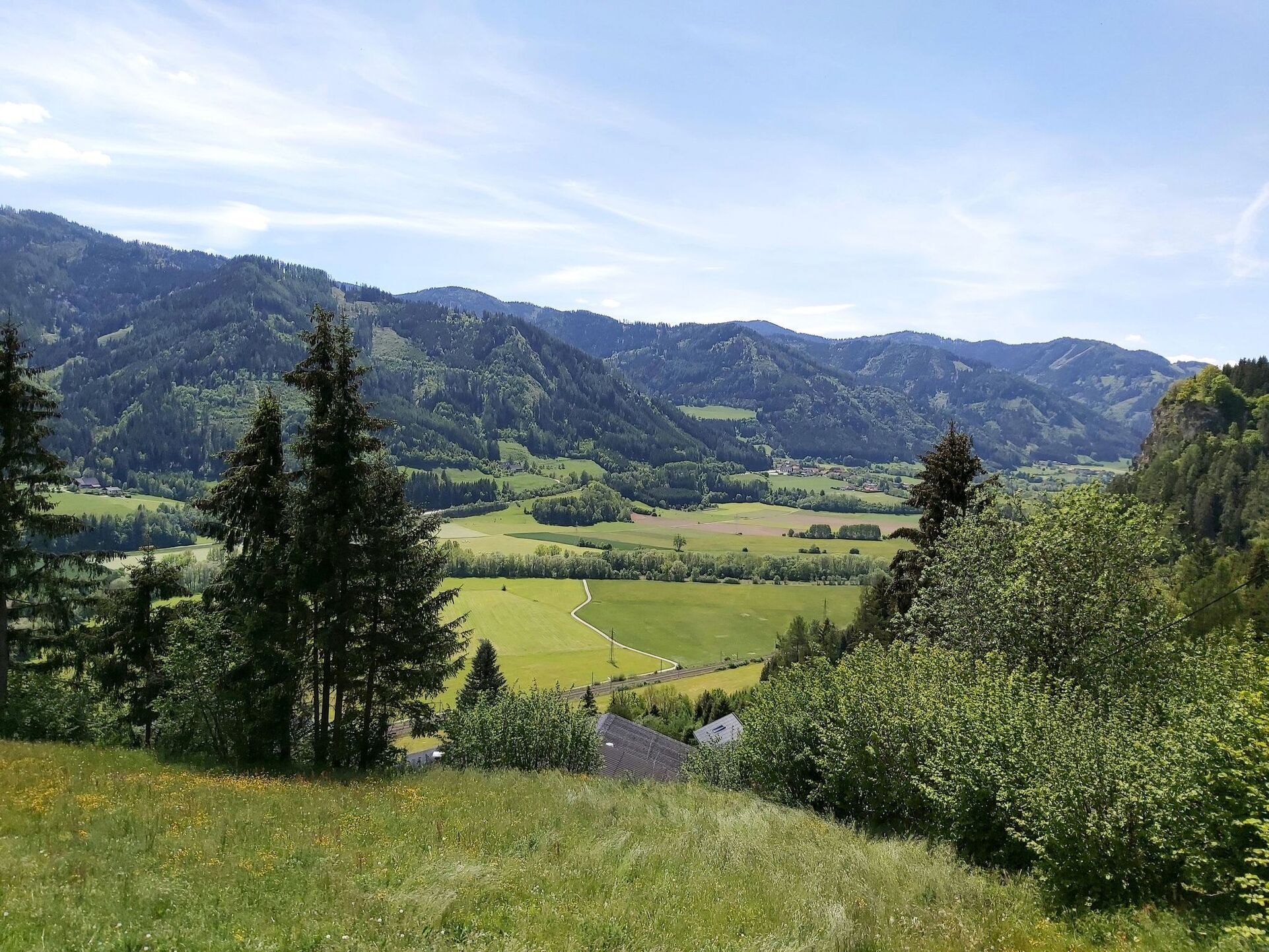 View
