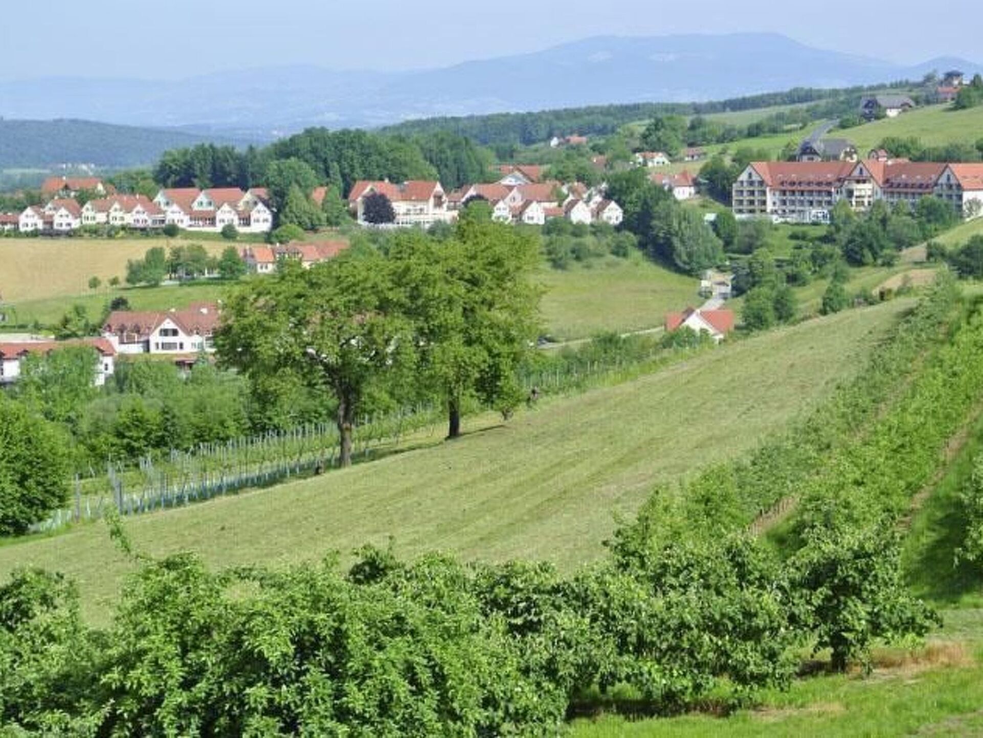 Elegant 1-Bed House in Hartberg-Furstenfeld, Sleeps 3, 1119