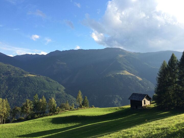 View