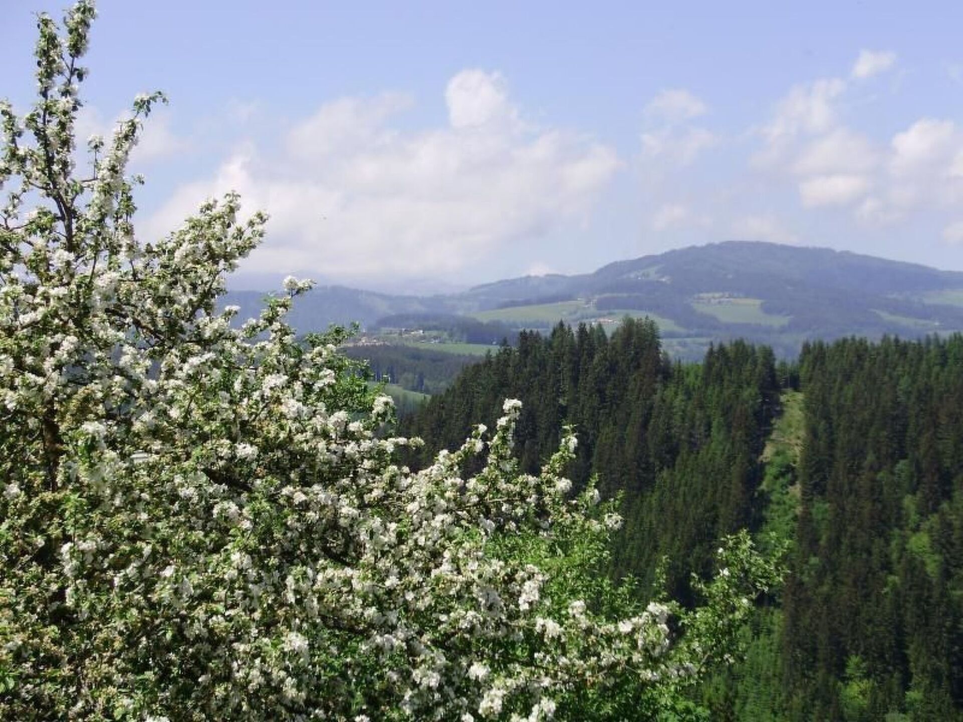 Sumptuous 3-Bed House in Wolfsberg, Sleeps 7, 1077