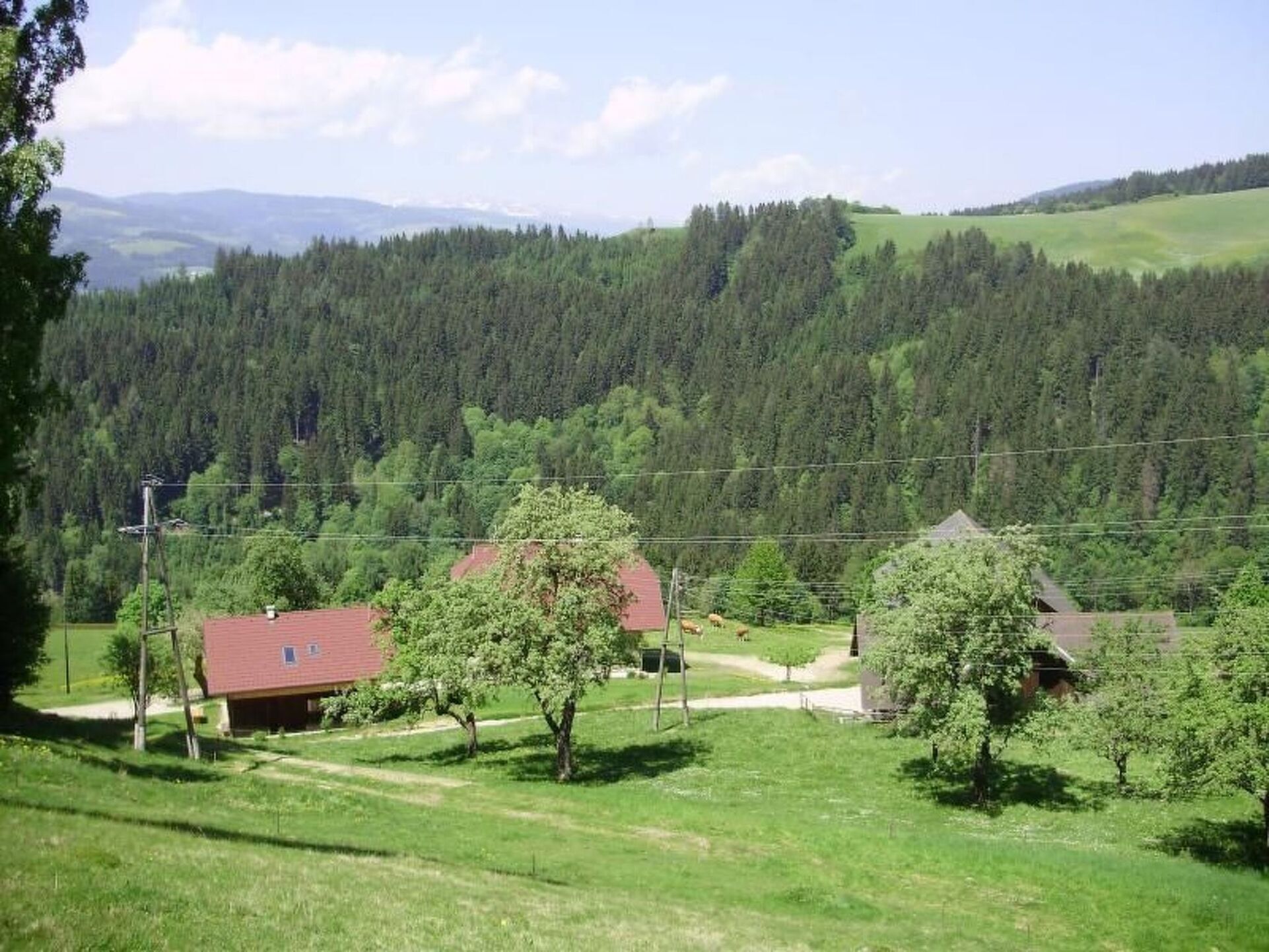 Sumptuous 3-Bed House in Wolfsberg, Sleeps 7, 1077