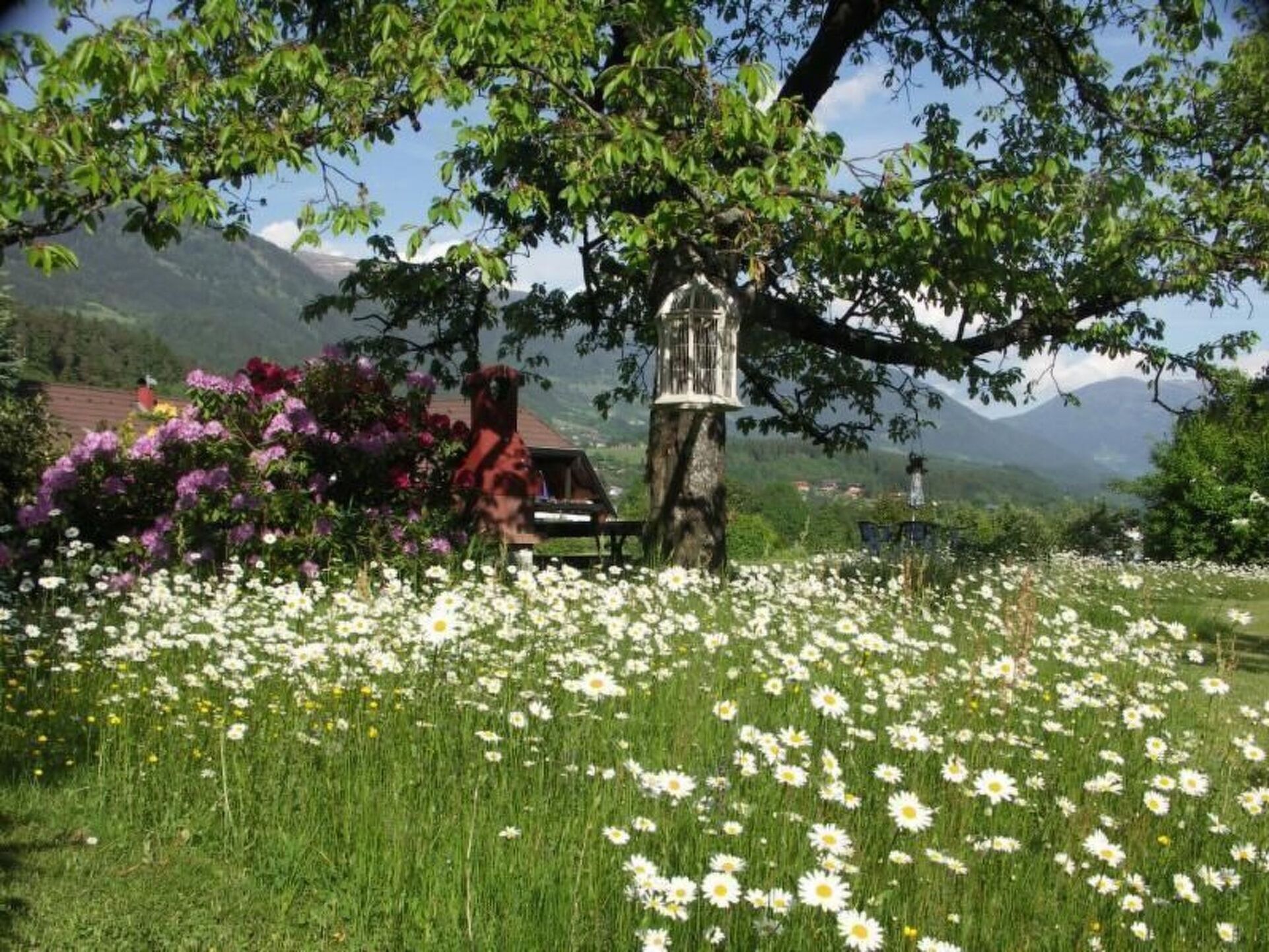 1-Bed Apartment in Spittal an der Drau, Sleeps 3, 1064