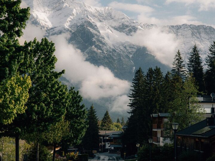 View