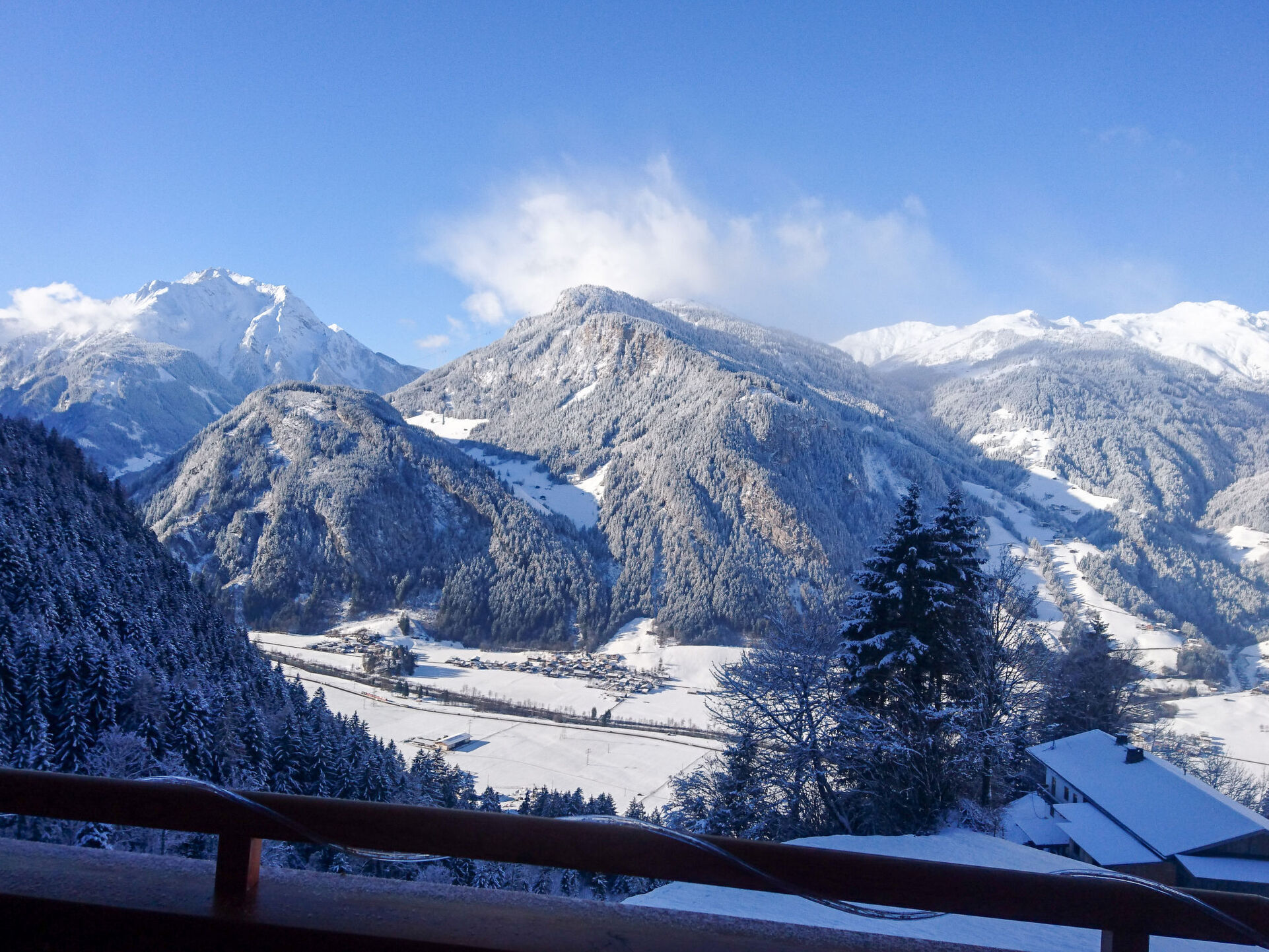 View