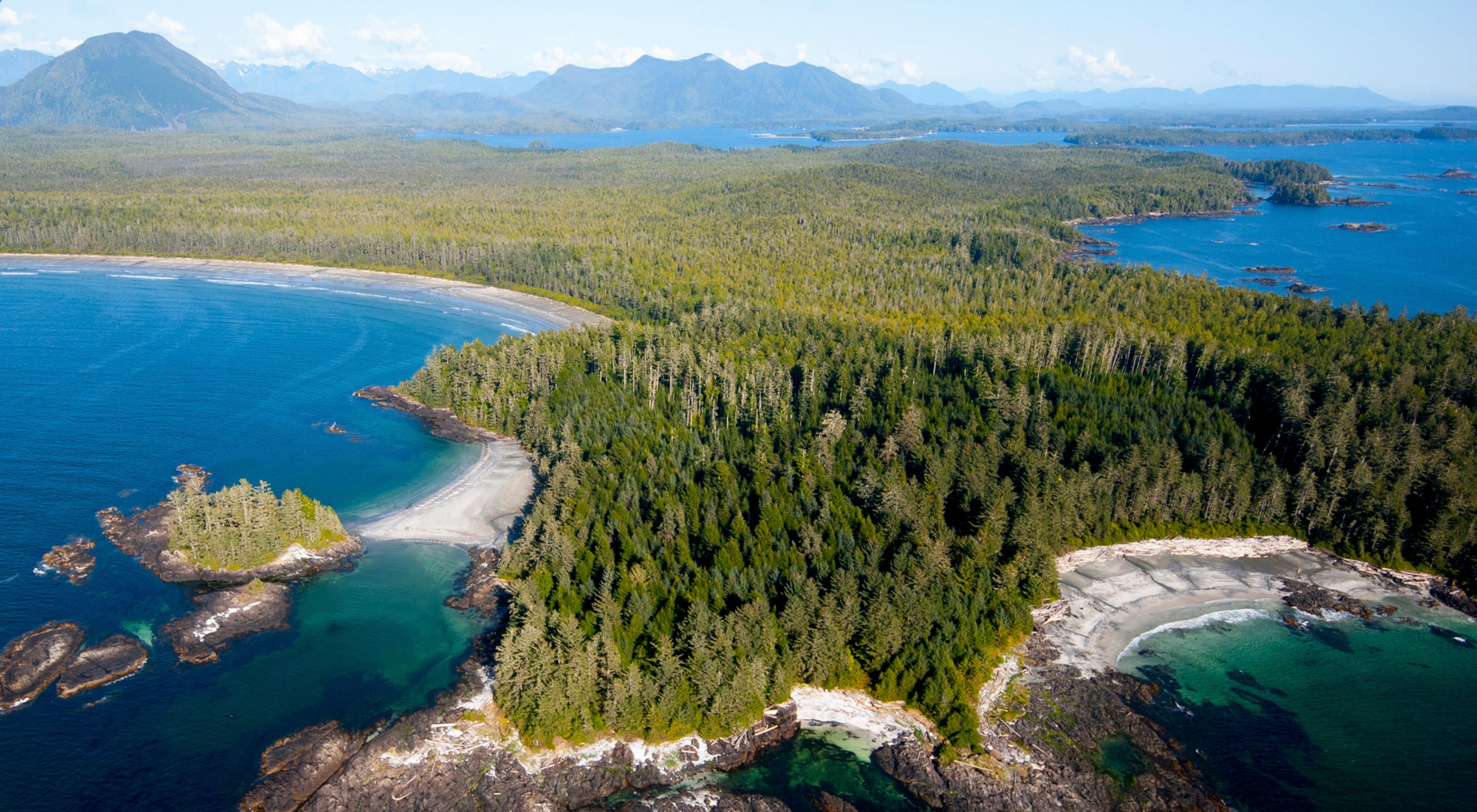 Clayoquot Sound RainForest