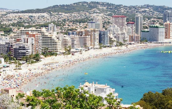 Best local attractions: