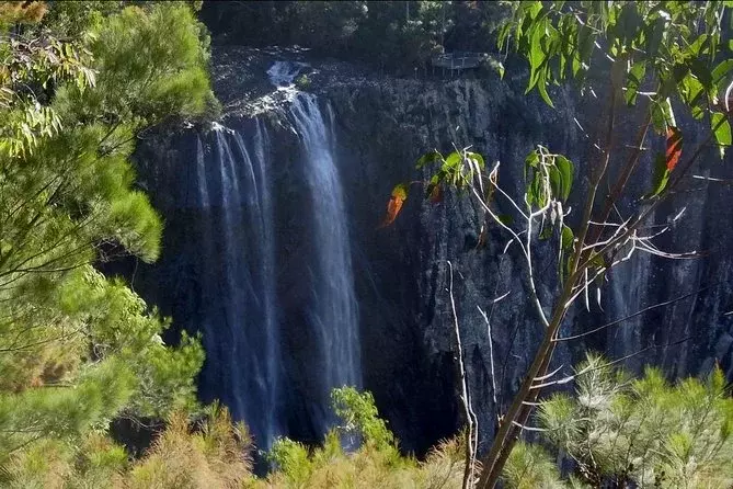 The Hinterland: Natural attractions in Byron Bay