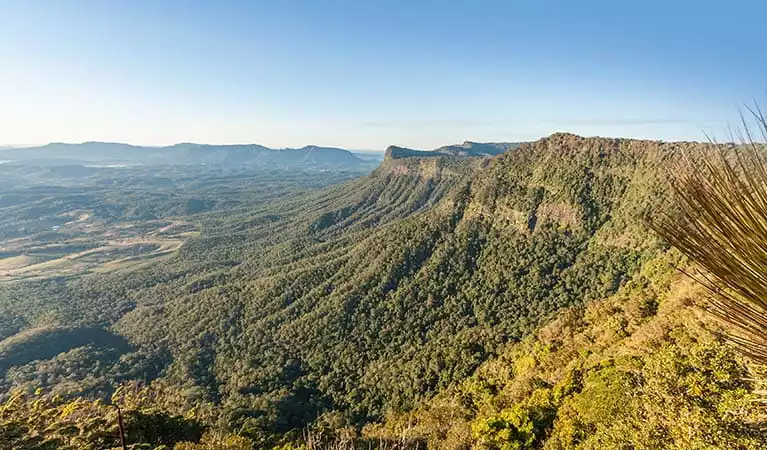 Pinnacle Walk