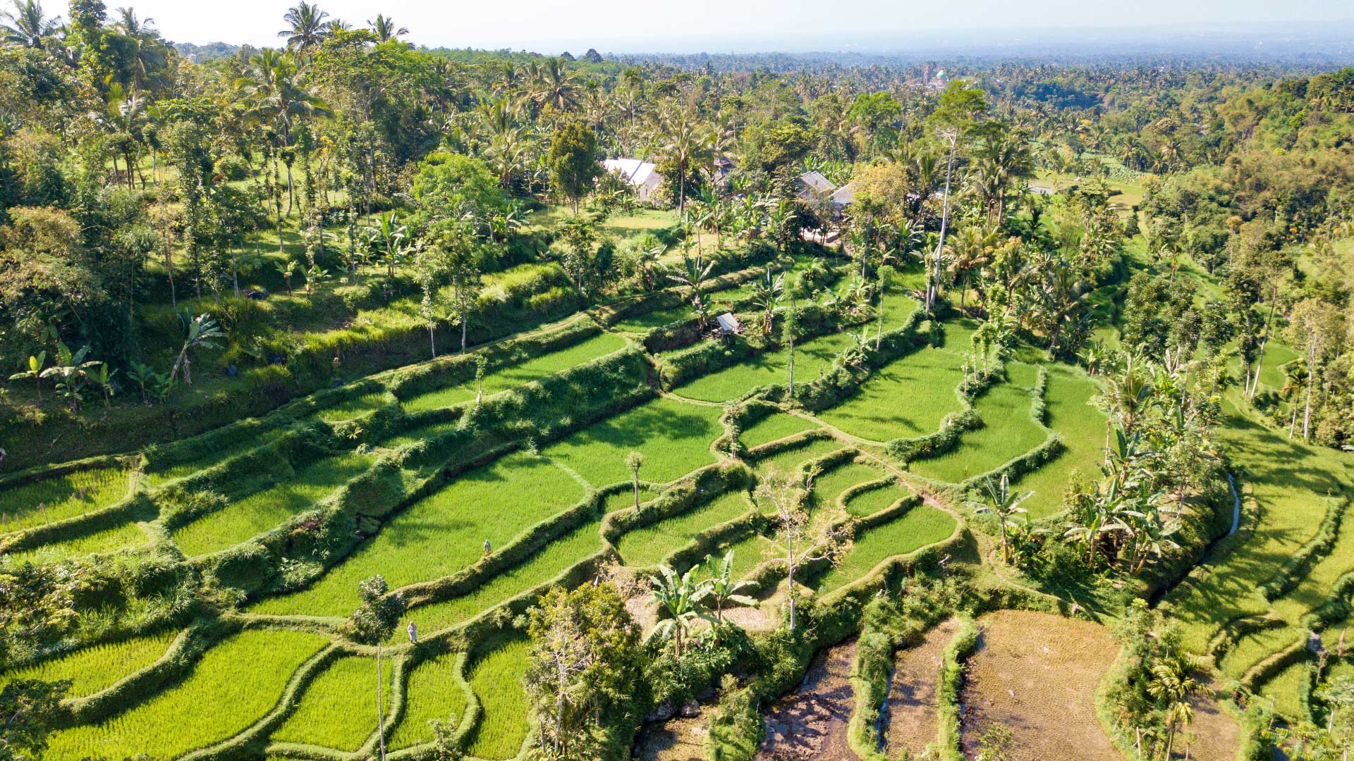 See Tetebatu Village