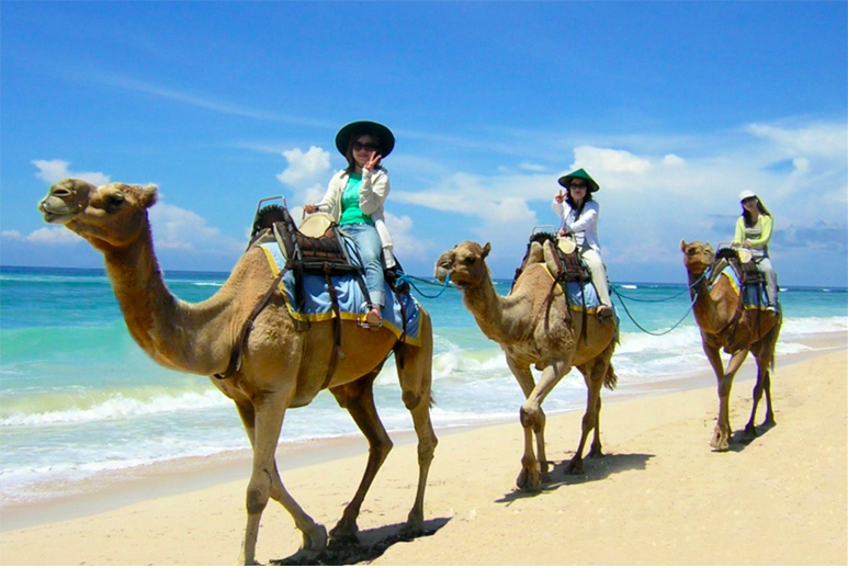 Take a camel ride