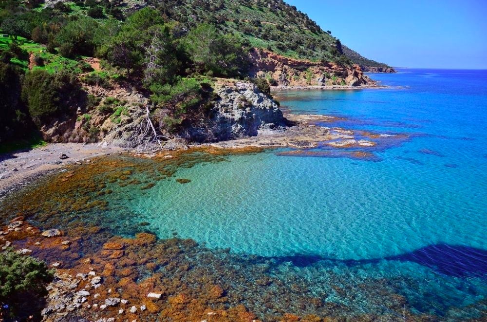 Best local attractions: