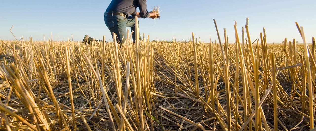 Food_Revolution_Article_Soil_Hero.jpg