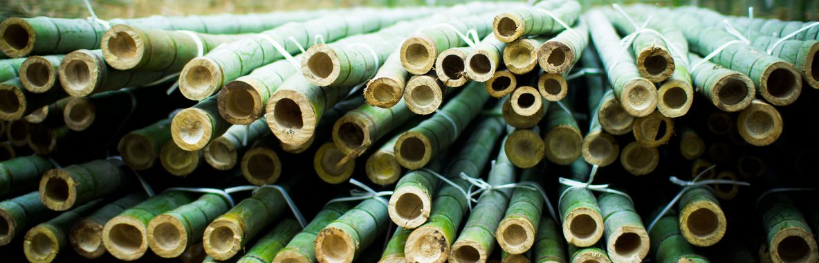 Stack of Bamboo