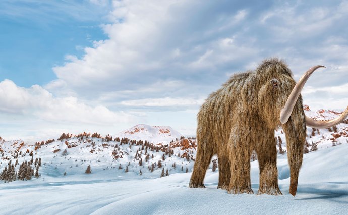 Mammoth standing in snow