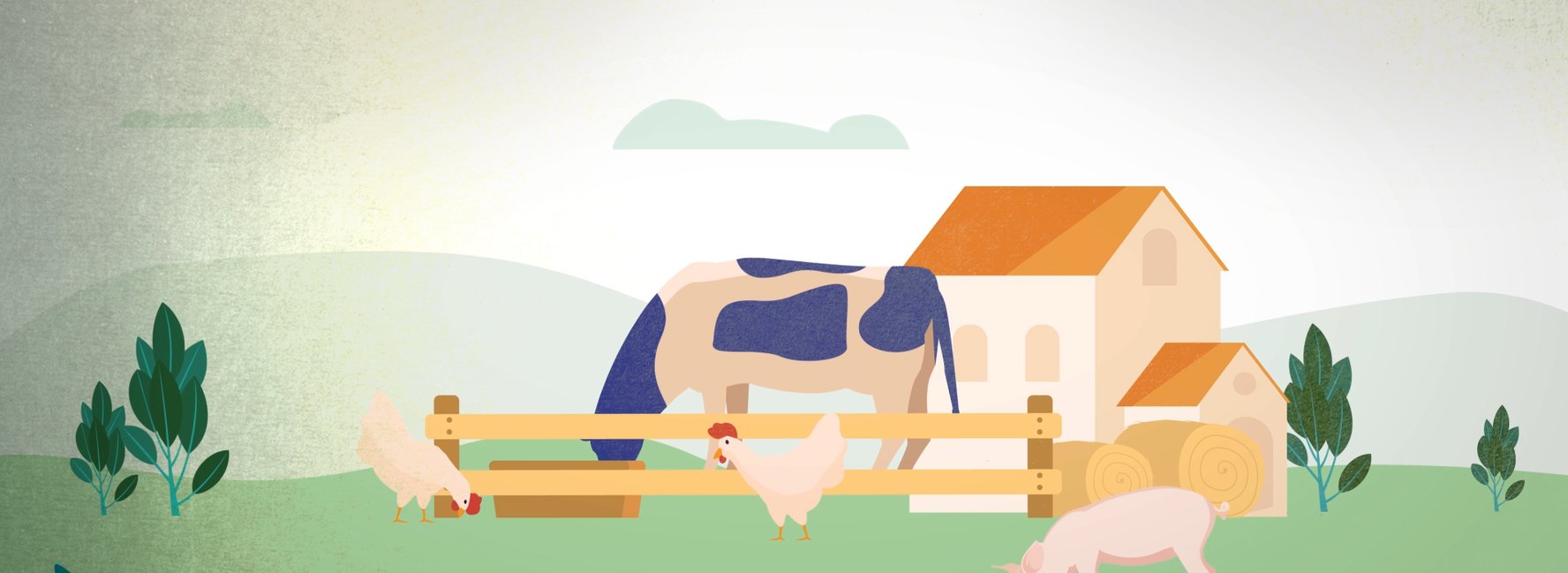 Animation of animals on a farm