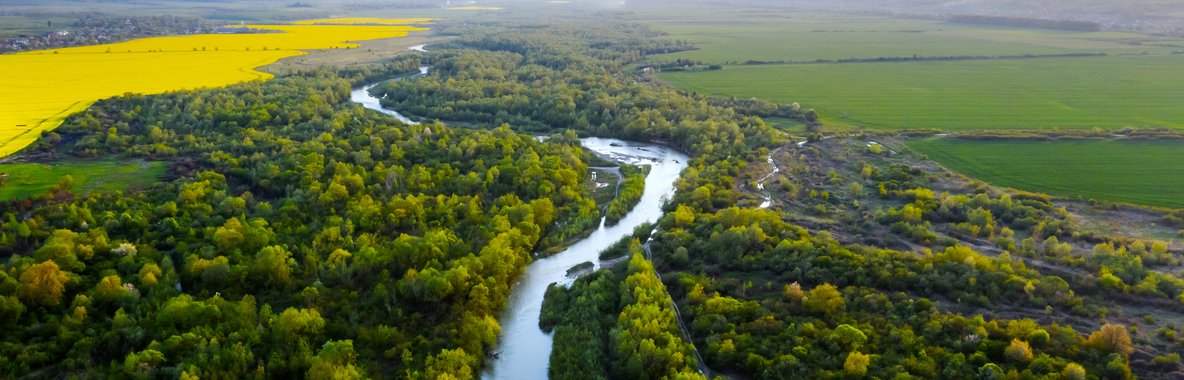 Aerial shot of river