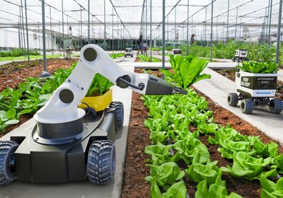 essay sustainable ways of growing food