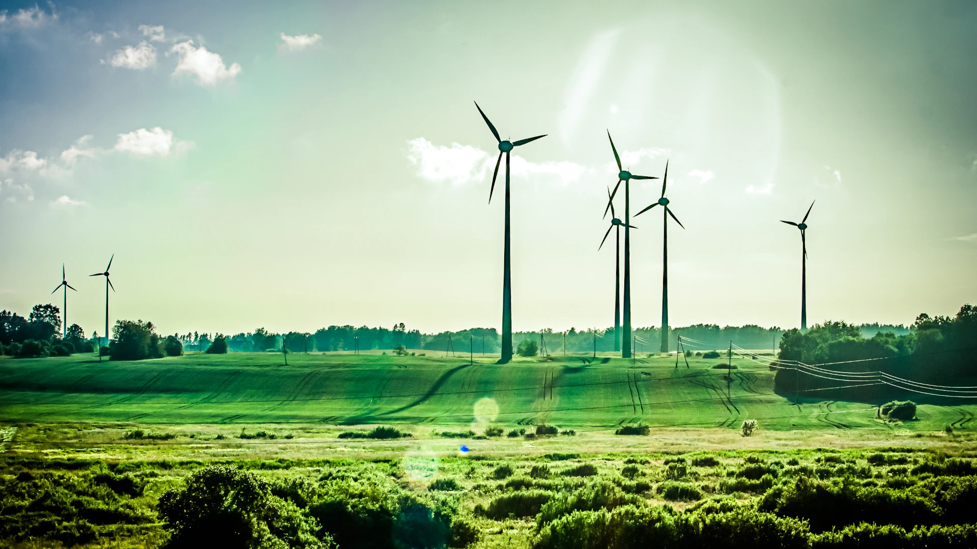South Africa's Carbon Tax Phase 2: New Financial Reality for Business