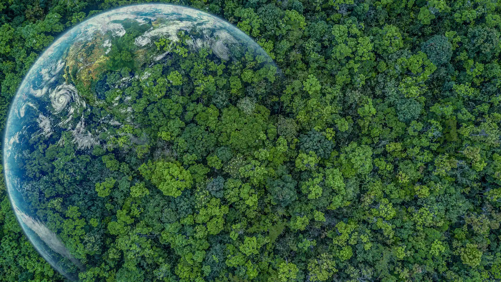 Why TNFD is the Future of Sustainability Reporting in South Africa