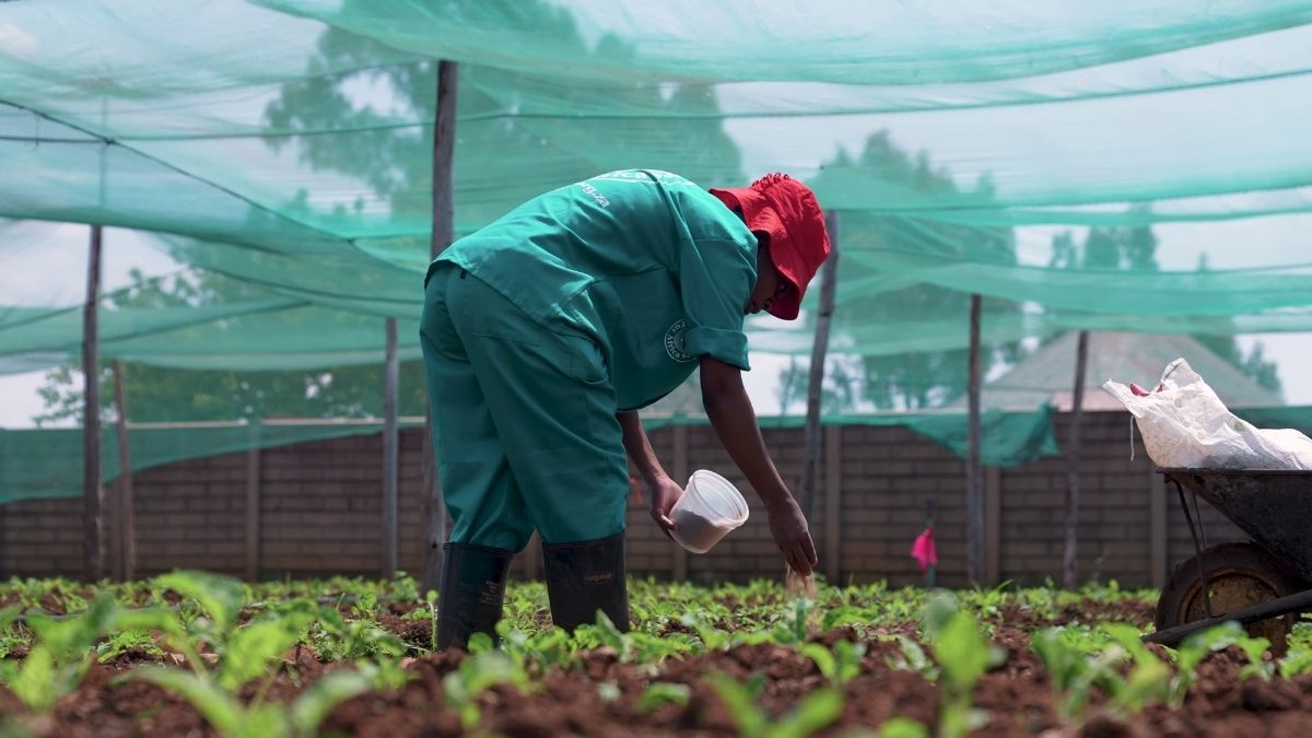 Beyond Title Deeds: Cultivating Successful Emerging Farmers