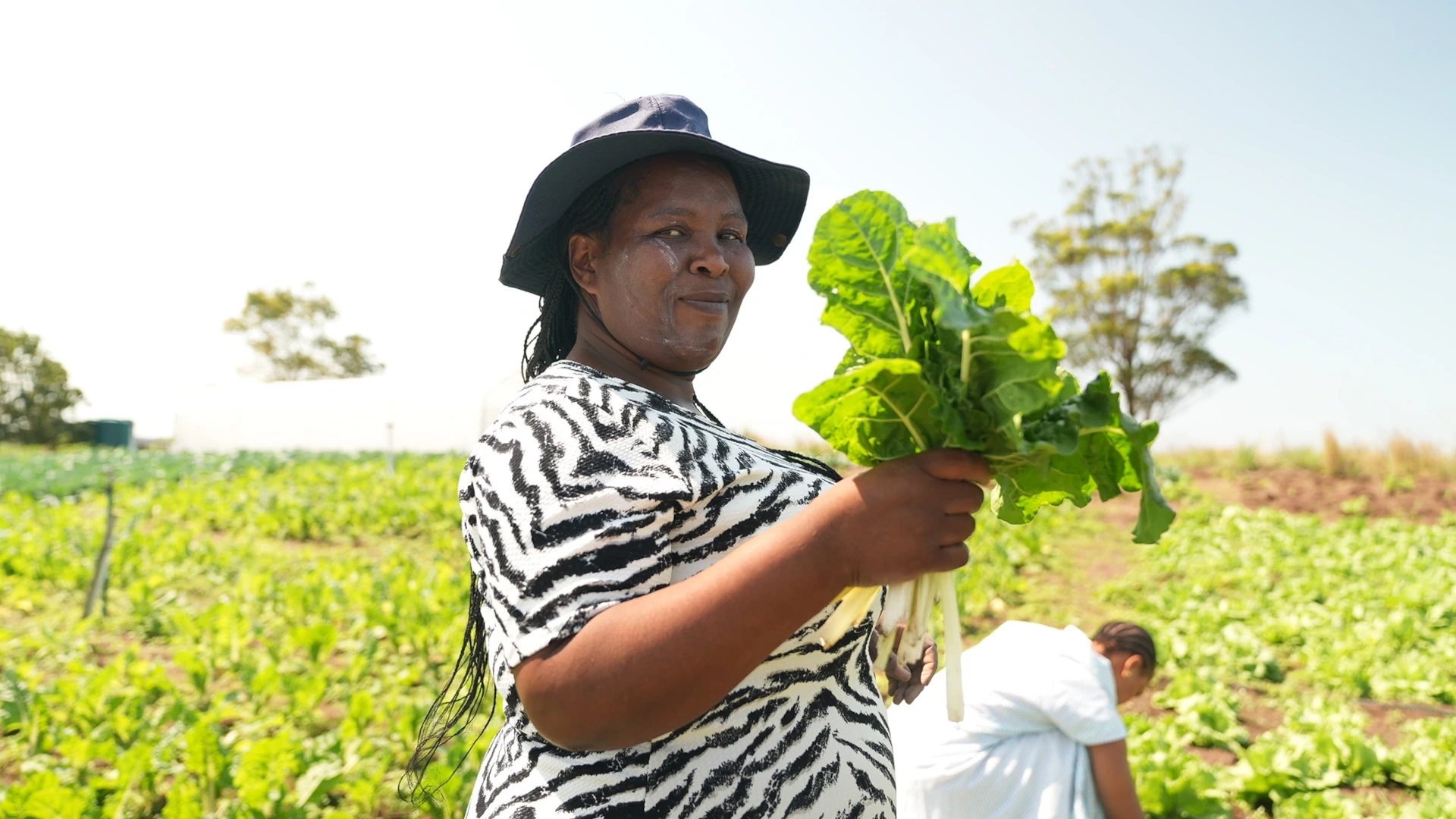 Pricing Produce: A Guide for Small Farms