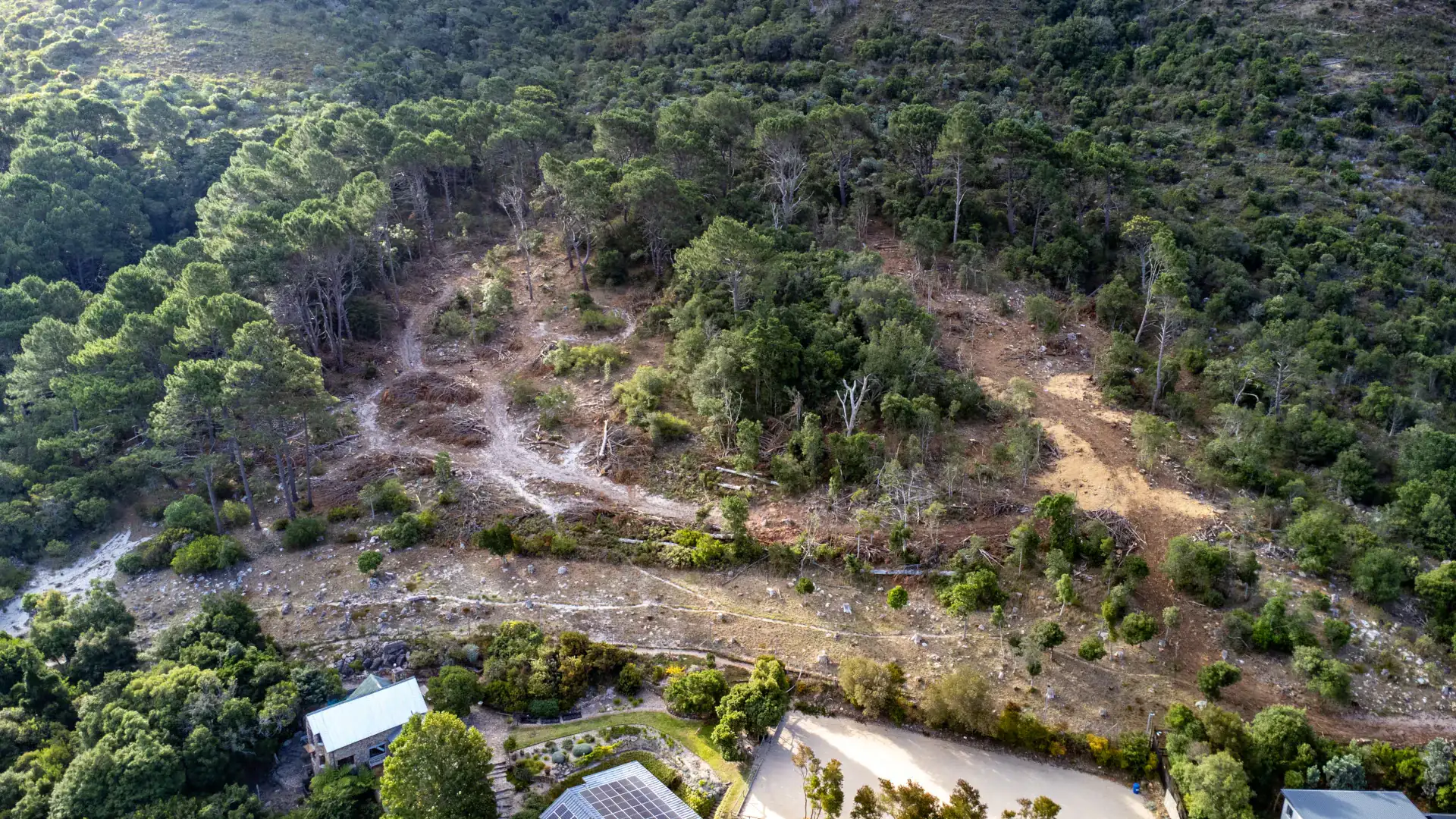 What is Forest Landscape Restoration (FLR)?