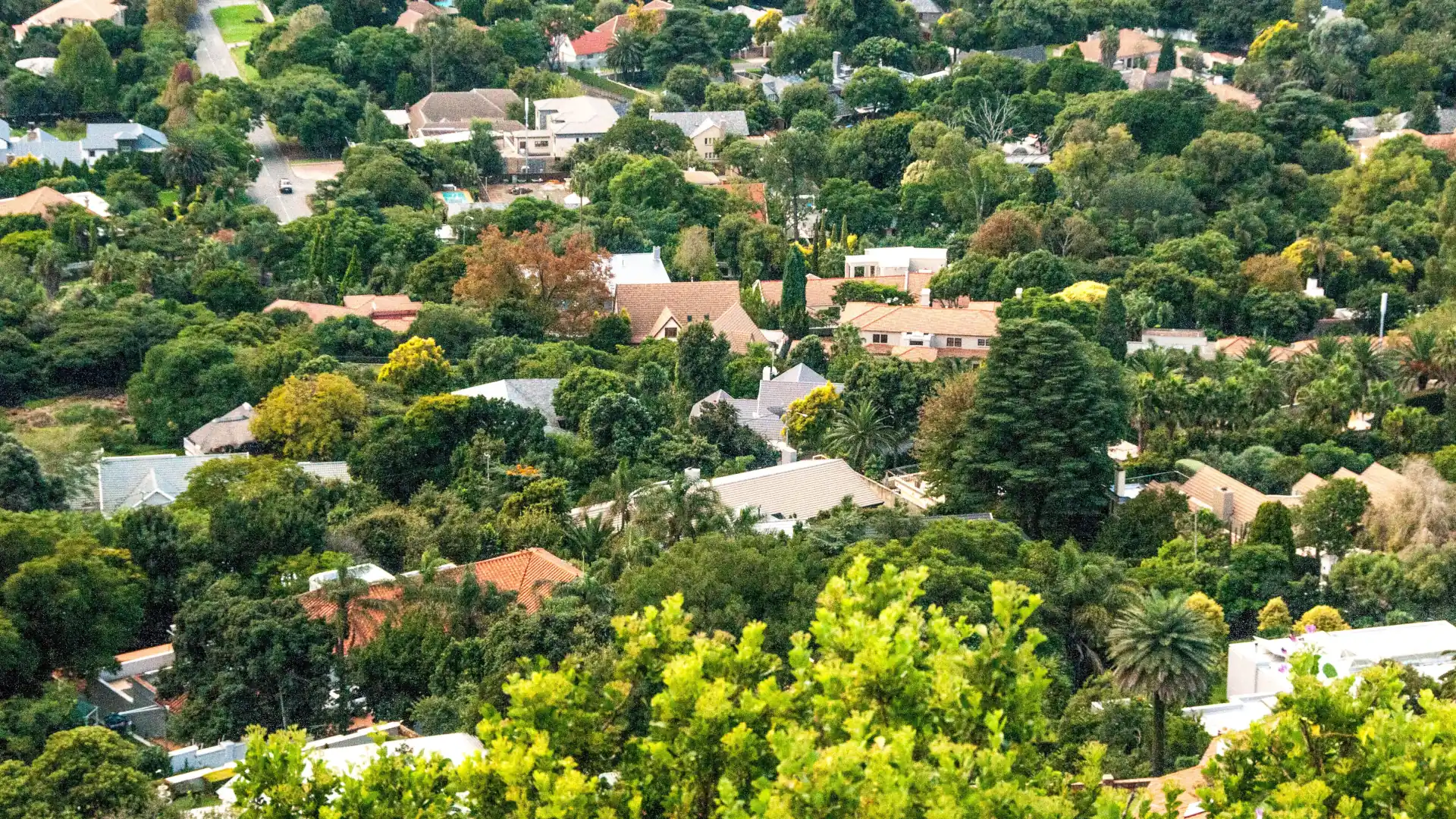 What is Urban Forestry and Why Does It Matter?