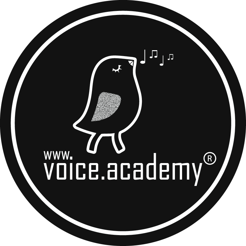 Logo voice academy