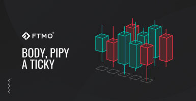 Body, pipy a ticky