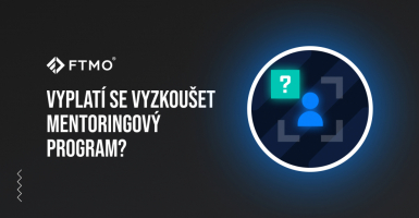 Vyplatí se vyzkoušet mentoringový program?