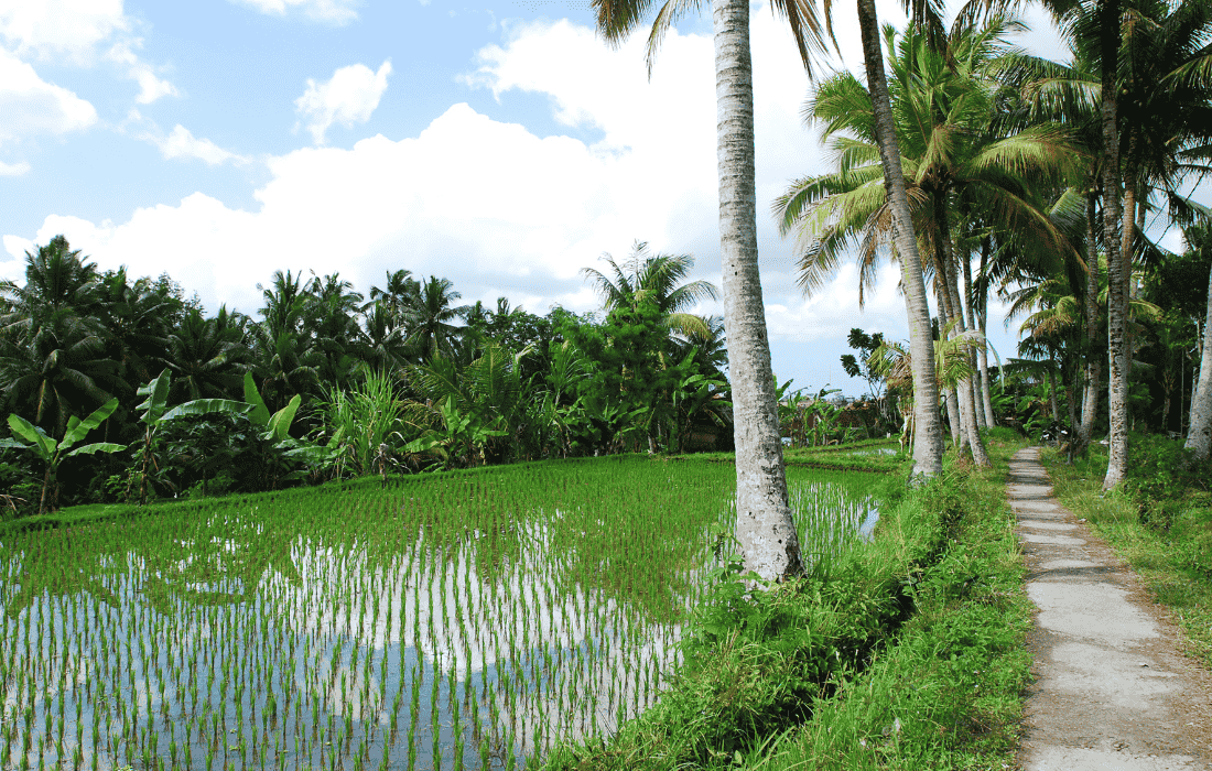Ubud