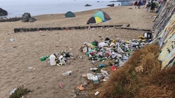 Logo Limpiezas de playa en Caleta Abarca – Viña del Mar