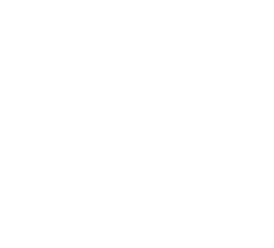 Logo Misión EEUU 2026 - Familia Godoy Sobarzo