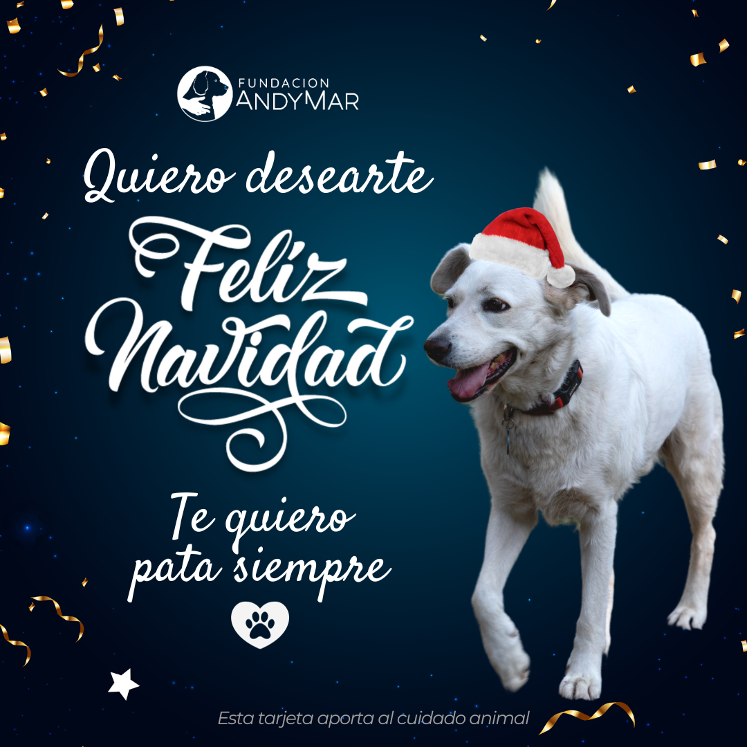 Navidad