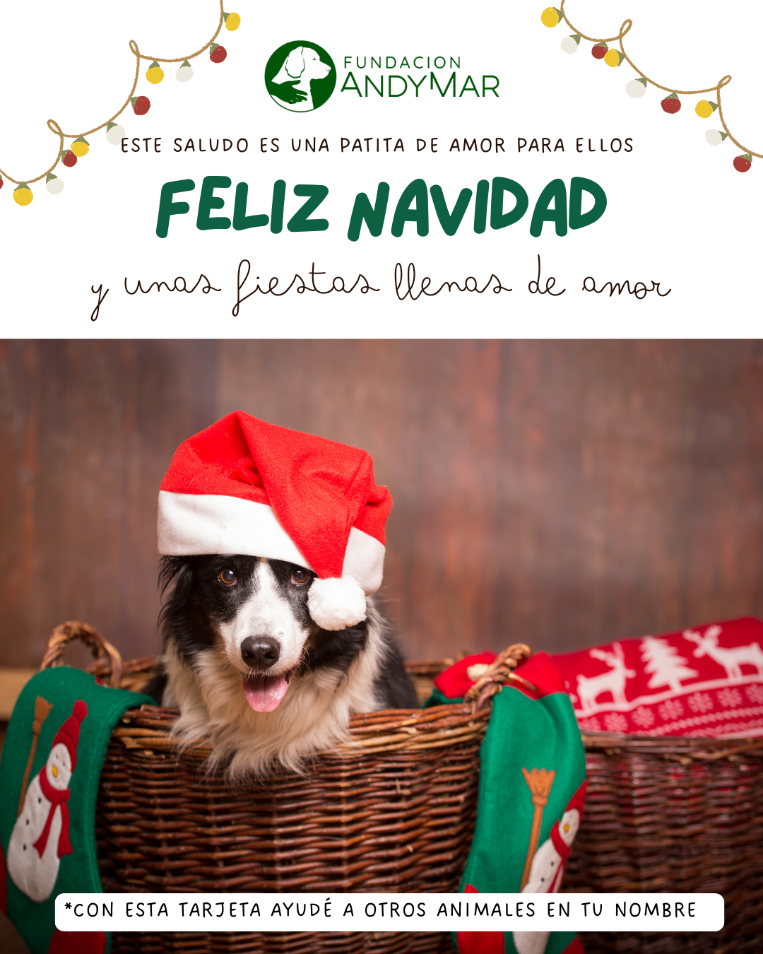 Tarjeta - Navidad