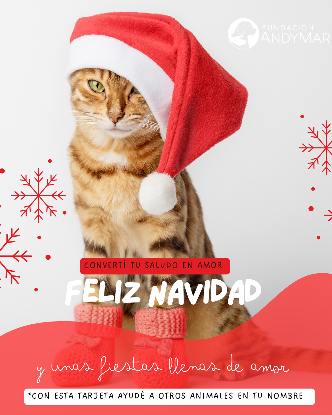 Navidad