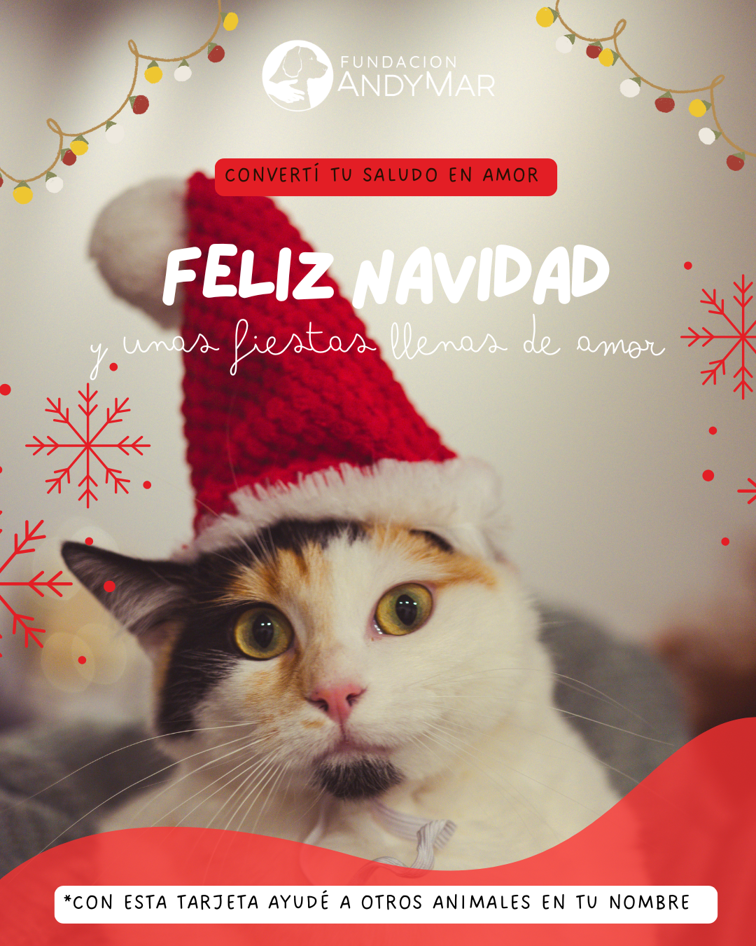 Tarjeta - Navidad