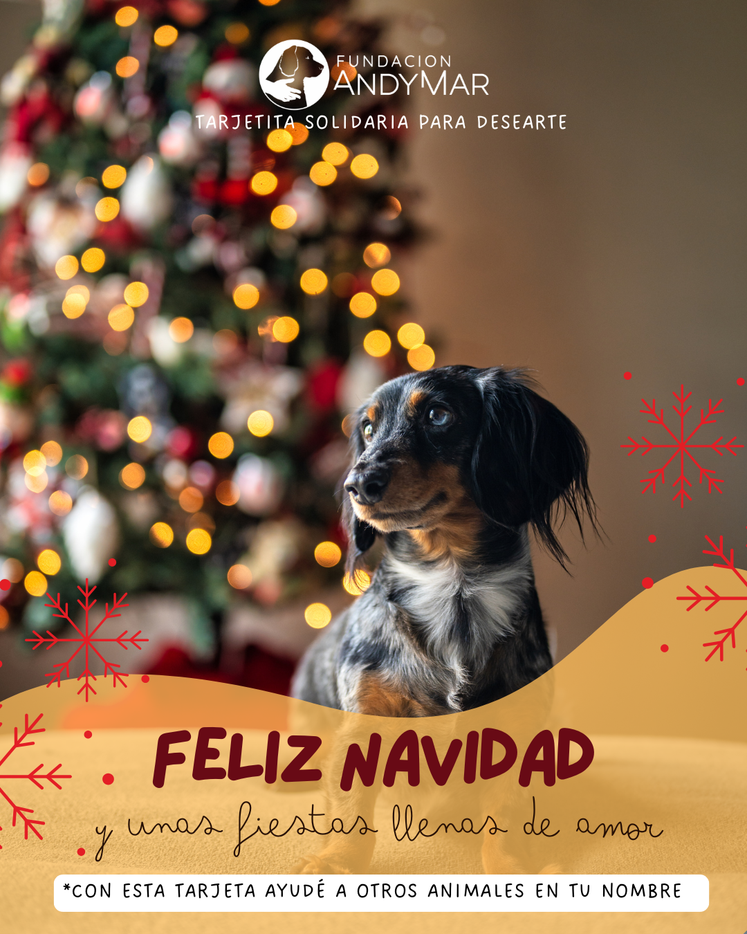 Tarjeta - Navidad